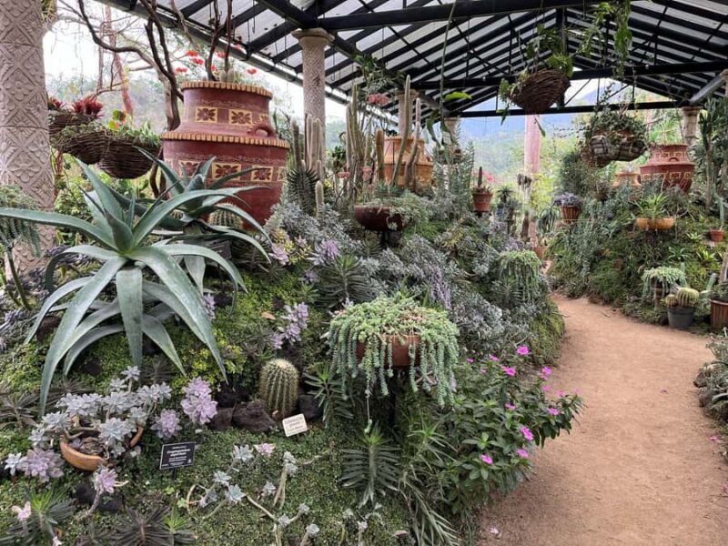 Puerto Vallarta: Sayulita & San Pancho Private Day Tour - Key Points