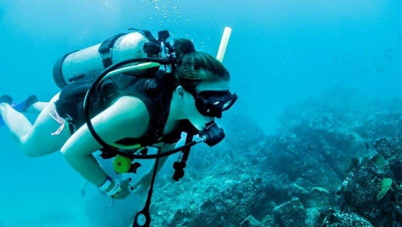 Puerto Vallarta: Scuba Dive at Los Arcos - Key Points