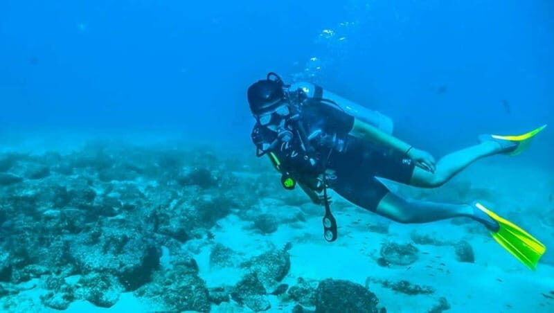 Puerto Vallarta: Scuba Dive at Los Arcos - A Closer Look at the Experience