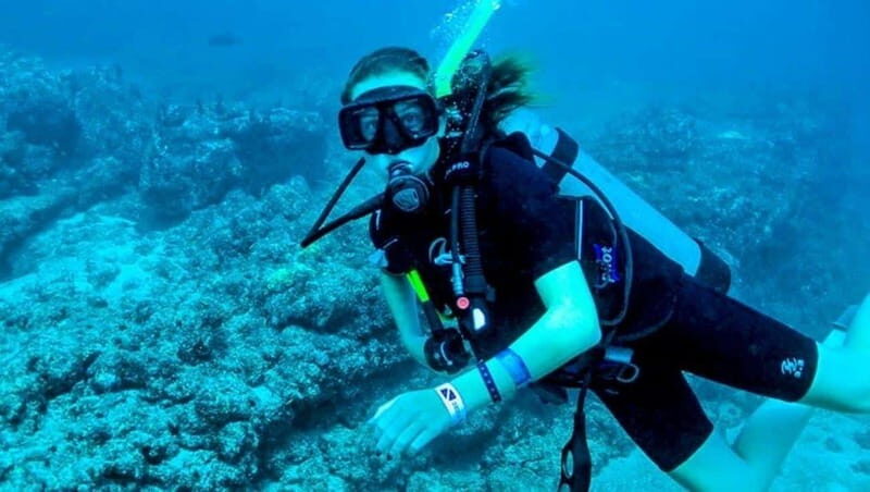 Puerto Vallarta: Scuba Dive at Los Arcos - In-Depth: What Makes This Dive Special