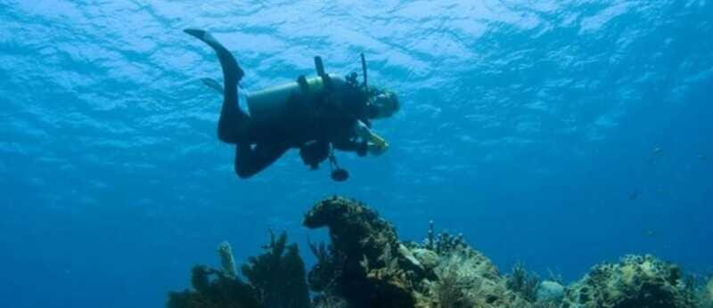 Puerto Vallarta: Scuba Dive at Los Arcos - The Sum Up