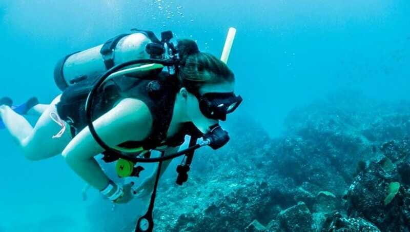 Puerto Vallarta: Scuba Dive at Los Arcos - FAQs