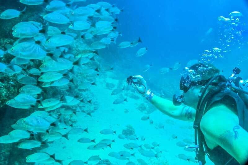 Puerto Vallarta: Scuba Dive in Las Caletas - FAQ