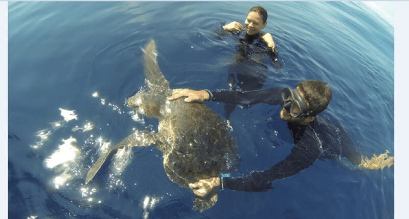 Puerto Vallarta: Scuba Diving en el Morro - The Experience: An In-Depth Look at Puerto Vallarta’s Morro Dive