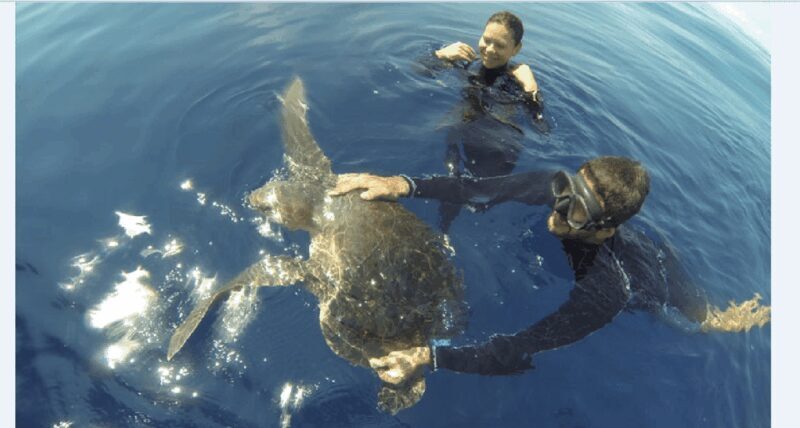 Puerto Vallarta: Scuba Diving en el Morro - Final Thoughts