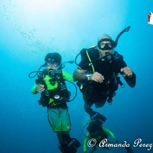 Puerto Vallarta: Scuba Diving Expedition at El Malinal - Key Points