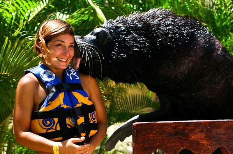 Puerto Vallarta: Sea Lion Discovery at Aquaventuras Park - Inclusion and Extra Options