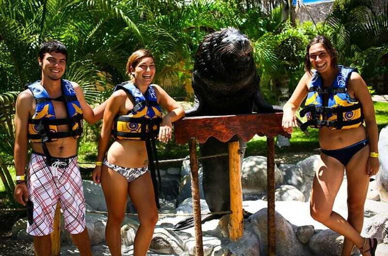 Puerto Vallarta: Sea Lion Discovery at Aquaventuras Park - Who Will Enjoy This Tour?