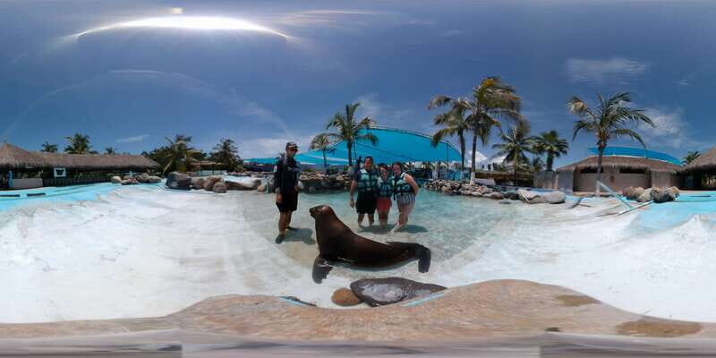 Puerto Vallarta: Sea Lion Discovery - How the Tour Unfolds