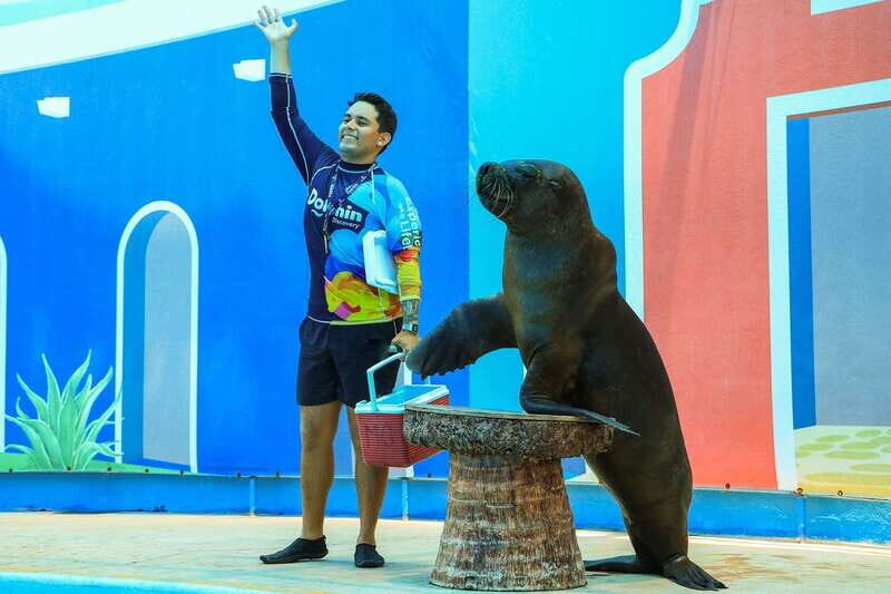 Puerto Vallarta: Sea Lion Discovery - Practical Tips for Visitors