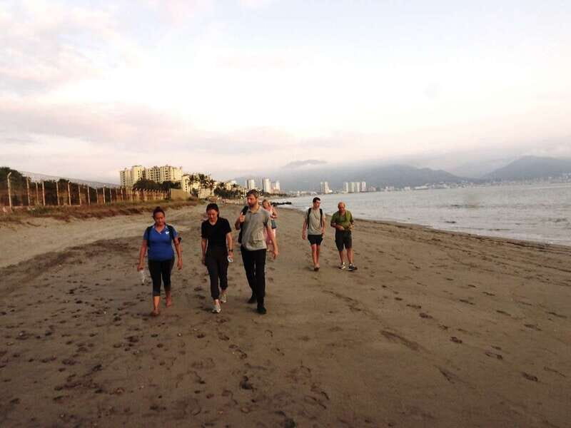 Puerto Vallarta: Sea turtle release at Sunset - The Authentic Touch of This Tour