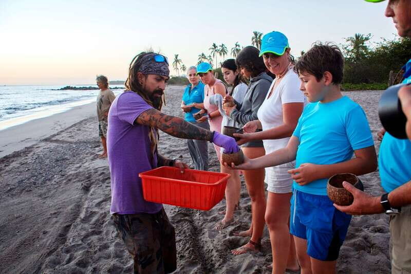 Puerto Vallarta: Sea turtle release at Sunset - FAQs