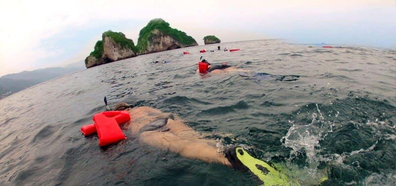 Puerto Vallarta: Snorkel Adventure at Los Arcos - Frequently Asked Questions