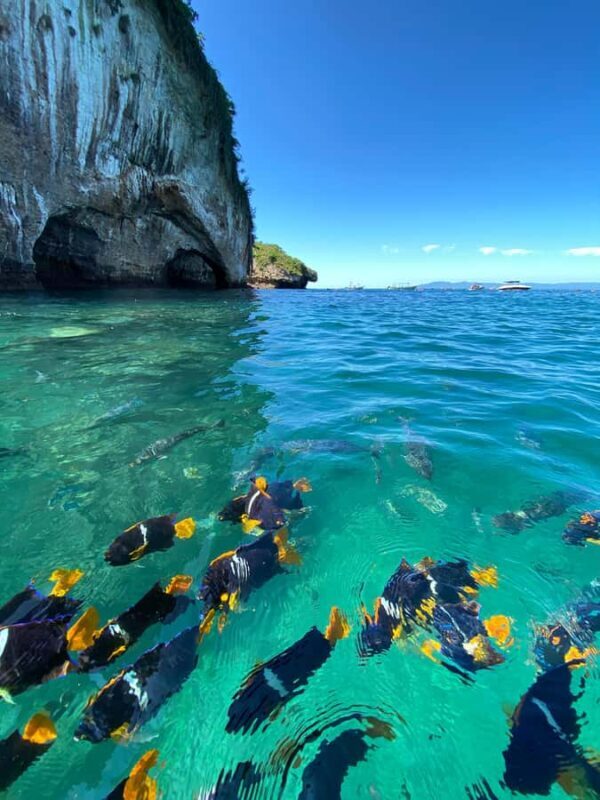 Puerto Vallarta: Snorkel y tour de 2 hrs en bote a Los Arcos - Who Should Consider This Tour?