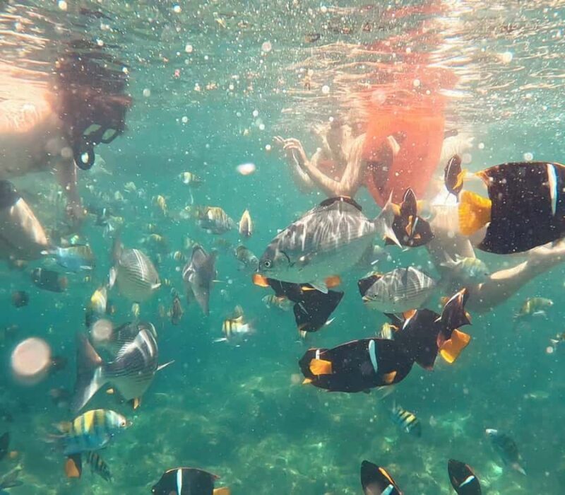 Puerto Vallarta: Snorkel y tour de 2 hrs en bote a Los Arcos - FAQs