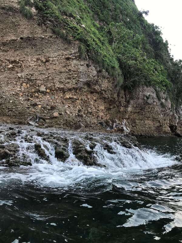 Puerto Vallarta: Snorkeling Tour to Los Arcos de Mismaloya - FAQ