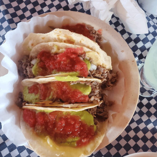 Puerto Vallarta: Taco Tour and Tequila Experience - Final Thoughts