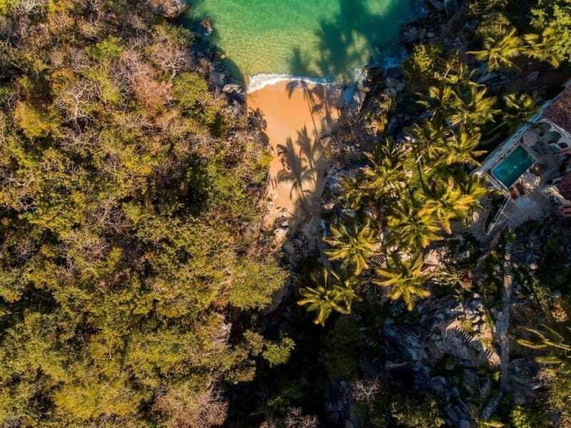 Puerto Vallarta: The Predator of the Sea - FAQs