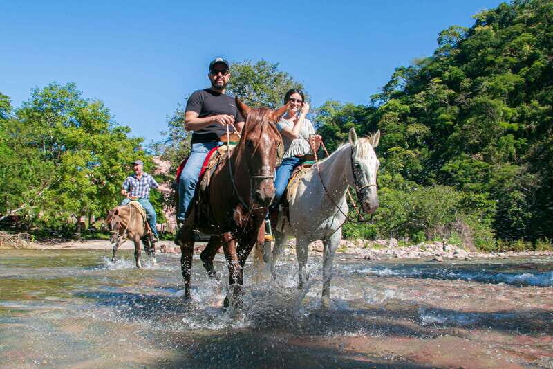 Puerto Vallarta: Tropical Forest Horseback Riding Adventure - Key Points