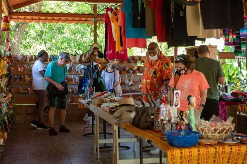 Puerto Vallarta: Tropical Tour - A Closer Look at the Puerto Vallarta: Tropical Tour