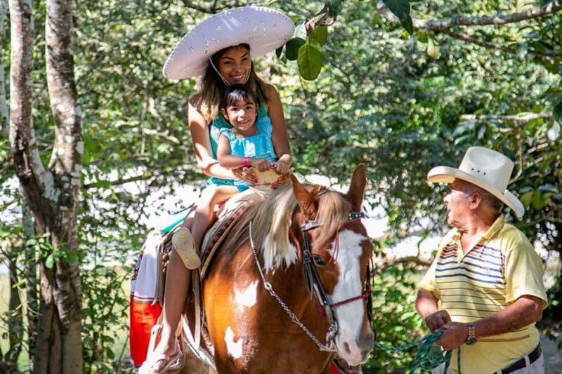 Puerto Vallarta: Tropical Tour - Who Is This Tour Perfect For?