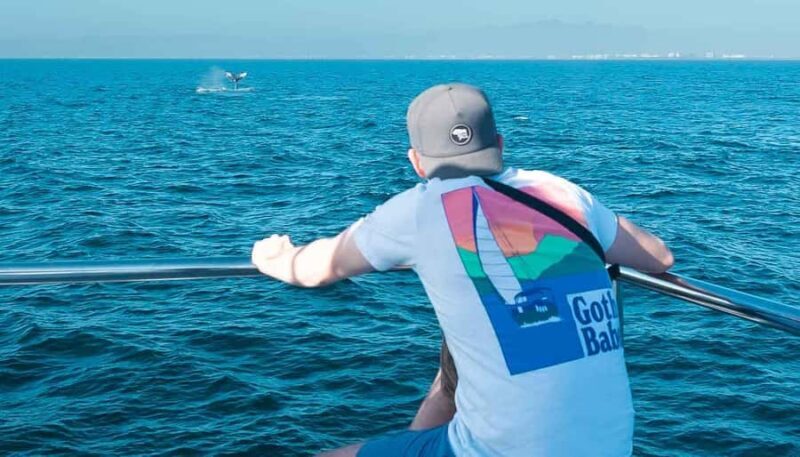 Puerto Vallarta: Whale Watching All Inclusive Experience - A Detailed Look at the Experience