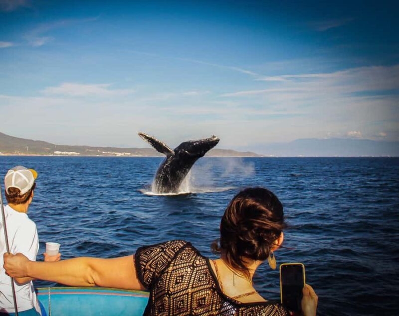 Puerto Vallarta: Whale Watching All Inclusive Experience - FAQ