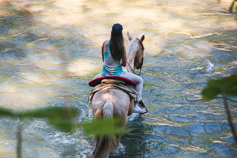 Puerto Vallarta: Wild Tour Horseback Adventure - Who Should Book This?