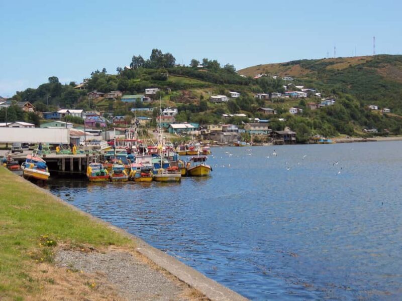 Puerto Varas: Full-Day Chiloe Island Tour Castro and dalcahue - Key Points