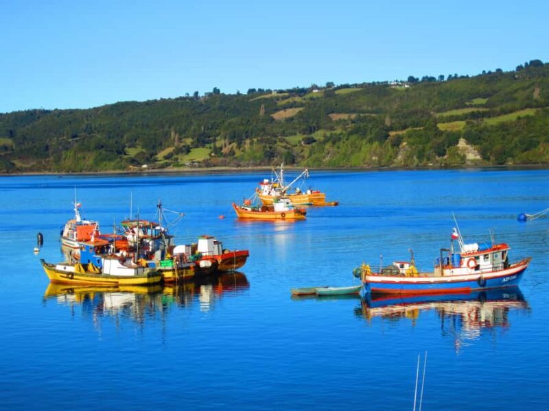 Puerto Varas: Full-Day Chiloe Island Tour Castro and dalcahue - Who Should Consider This Tour?