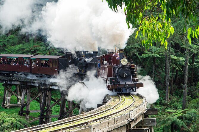 Puffing Billy And Phillip Island Penguin Parade Bus Tour - A Memorable Day Out: Puffing Billy and Phillip Island Penguin Parade Tour