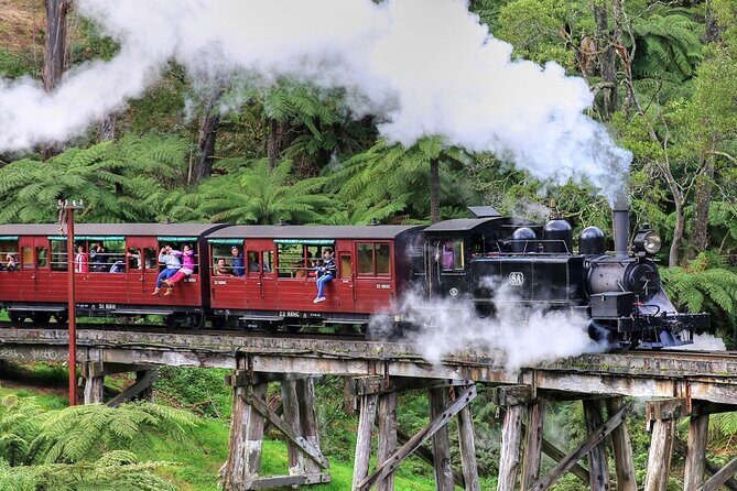 Puffing Billy And Phillip Island Penguin Parade Bus Tour - Analyzing the Value and Overall Experience