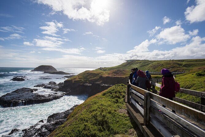 Puffing Billy And Phillip Island Penguin Parade Bus Tour - Final Thoughts