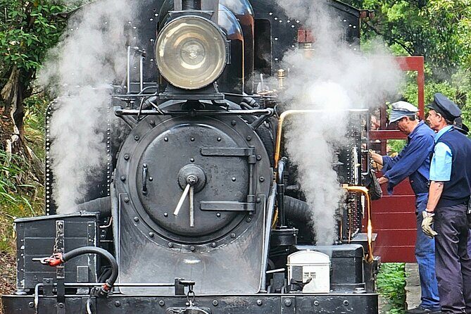 Puffing Billy and The Dandenong Ranges Private Experience - The Sum Up