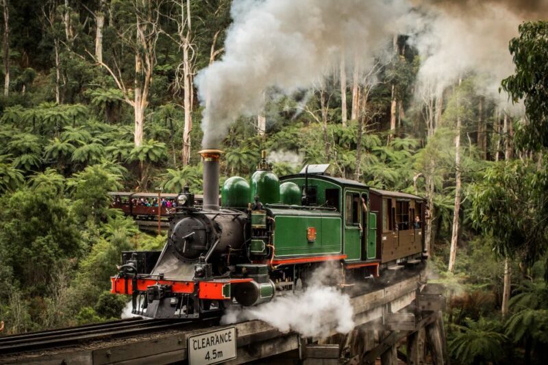 Puffing Billy Railway: Heritage Steam Train Journey - Who Should Consider Puffing Billy?