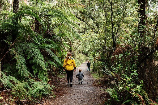 Puffing Billy & Rainforest Tour from Melbourne - Key Points