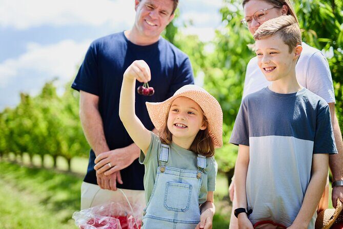 Puffing Billy Steam Train & Cherry Picking Tour from Melbourne - Experience the Charm of Melbourne with a Steam Train, Cherries, and Chocolate