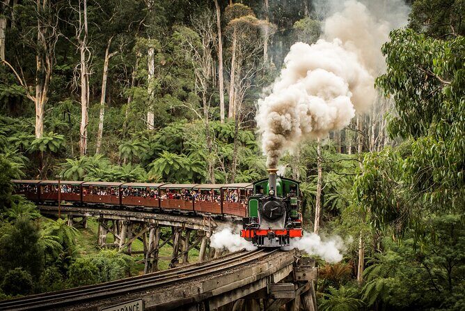 Puffing Billy Steam Train & Cherry Picking Tour from Melbourne - A Comprehensive Look at the Puffing Billy & Cherry Picking Tour from Melbourne
