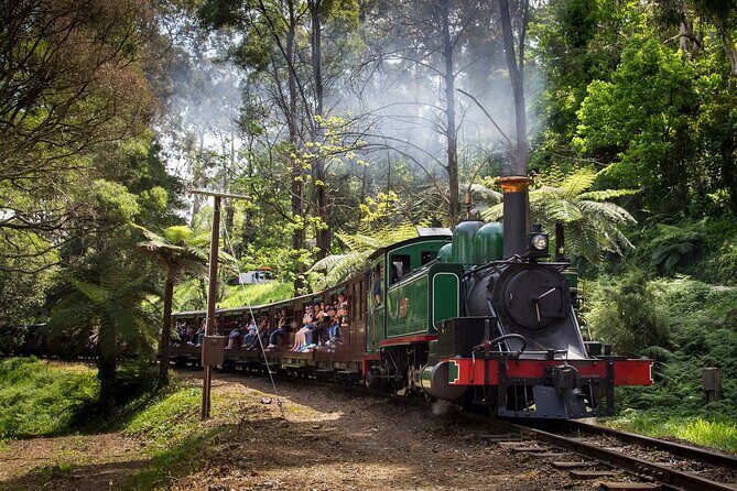 Puffing Billy Train and Penguins Wildlife Tour - Who Is This Tour Best For?