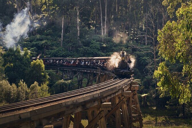 Puffing Billy Train&Healesville Sanctuary&Yarra Valley Wine Tour - Exploring Melbourne’s Natural and Cultural Gems in a Single Day