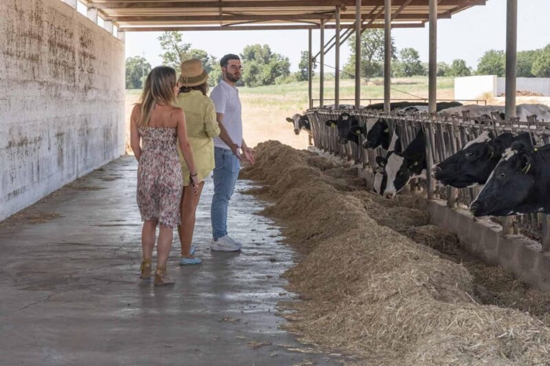 Puglia: Masseria Seppunisi Tour, Cheese, Burrata Tasting - Exploring Masseria Seppunisi: A Heartfelt Look