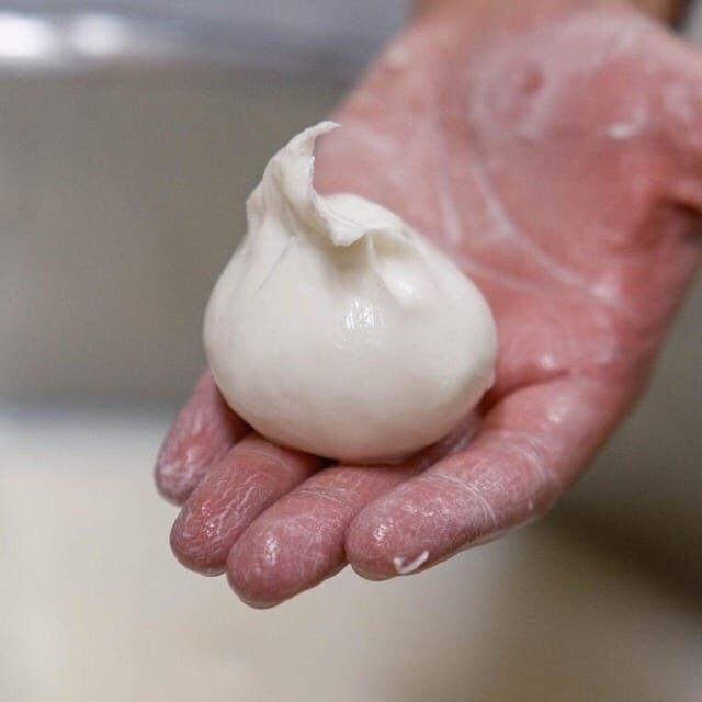 Puglia: Masseria Seppunisi Tour, Cheese, Burrata Tasting - Cheese-Making: A Hands-On Approach