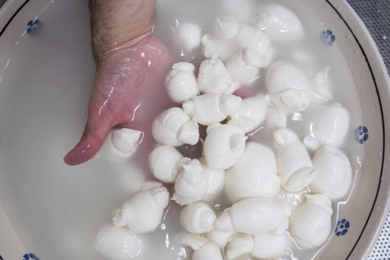 Puglia: Masseria Seppunisi Tour, Cheese, Burrata Tasting - The Cheese and Food Tasting
