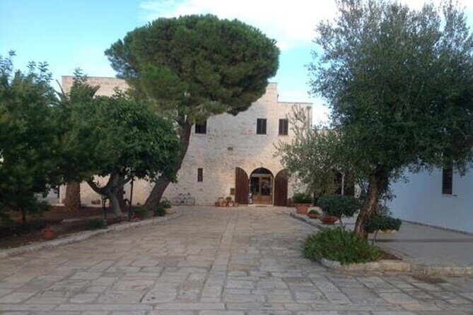 Puglia Olive Oil Tasting Experience with Olive Grove Walk - Key Points
