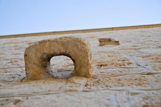 Puglia Olive Oil Tasting Experience with Olive Grove Walk - The Sum Up