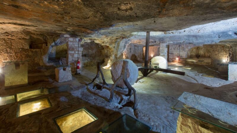 Puglia: Olive Oil Tasting Experience with Olive Grove Walk - FAQ