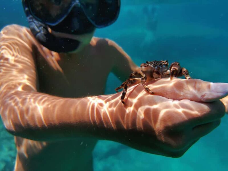 Pula Adventure: Snorkeling Boat Trip & Cliff Jumping - Key Points