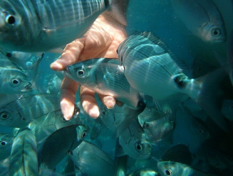 Pula: Bike Tour of Ancient Pula & Aquatic Adventures - The Experience in Action