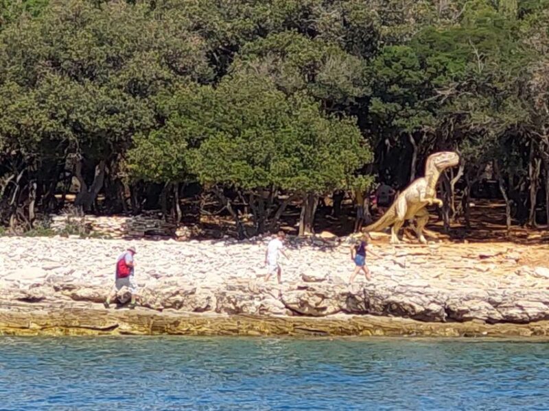 Pula: Brijuni National Park & Swimming Tour (in Faana) - FAQ