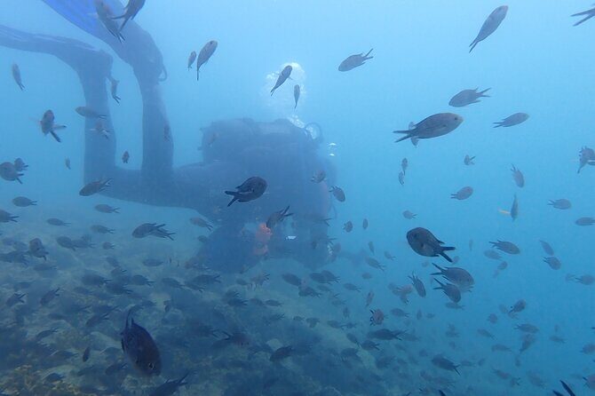 Pula Discover Scuba Diving Package - The Experience You Get
